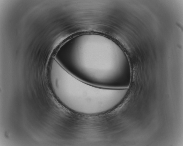 X0000097820876200803140803
