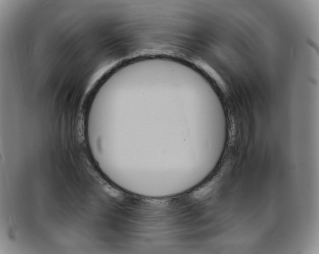 X0000097820878200803140803