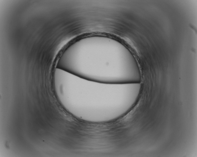 X0000097820879200803140803