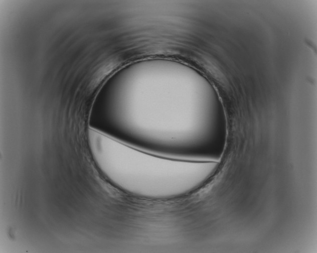 X0000097820881200803140803