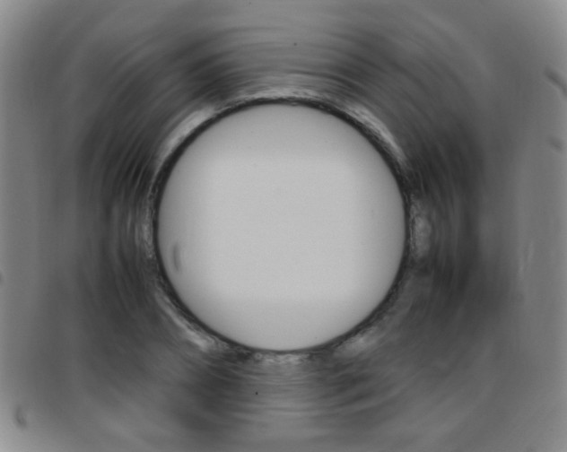 X0000097820882200803140803