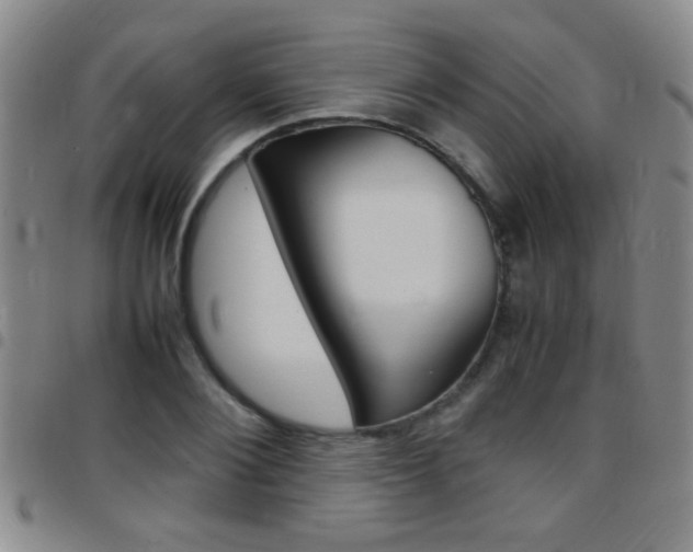 X0000097820884200803140803