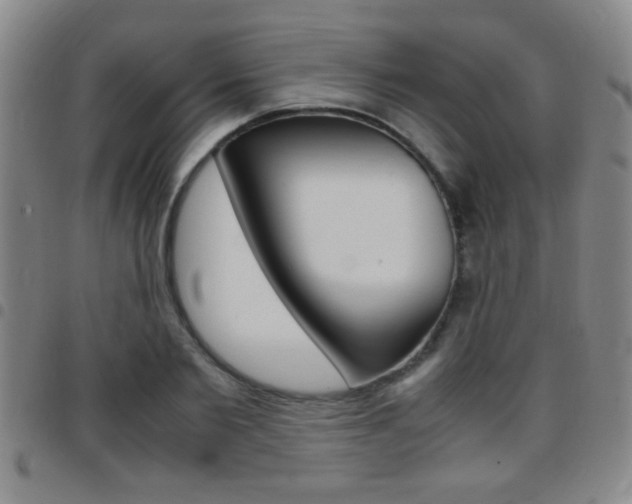 X0000097820885200803140803