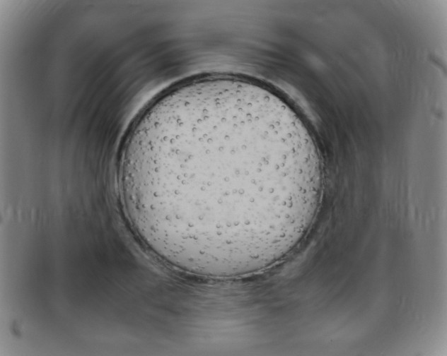 X0000097820887200803140803