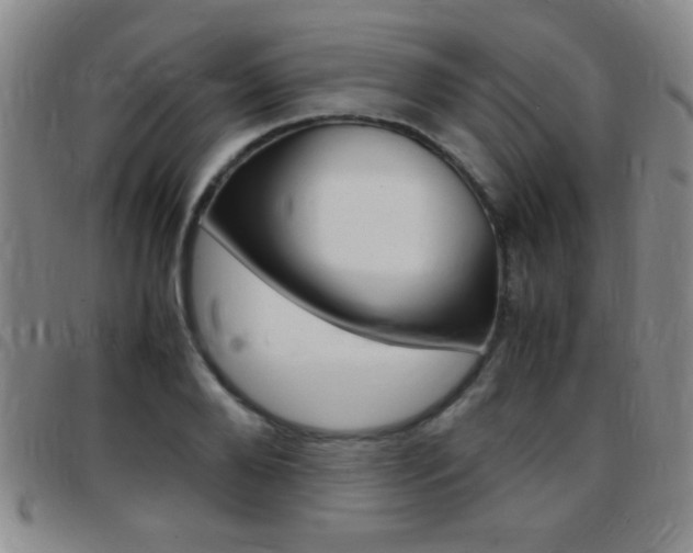 X0000097820888200803140803
