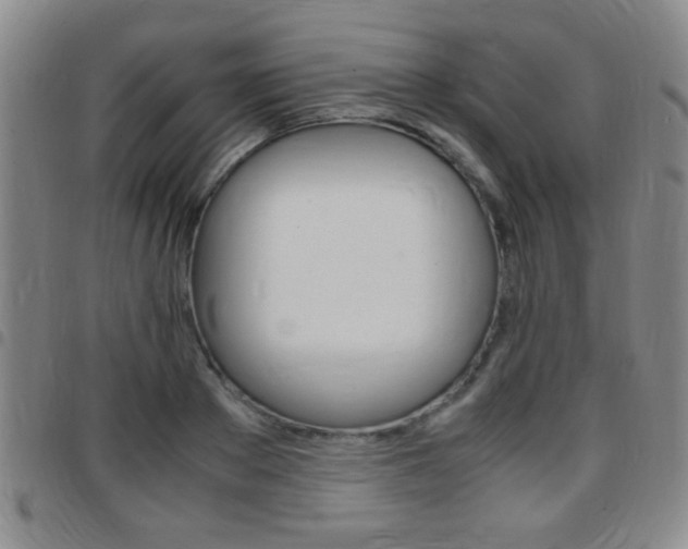 X0000097820889200803140803