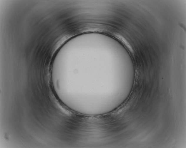 X0000097820890200803140803