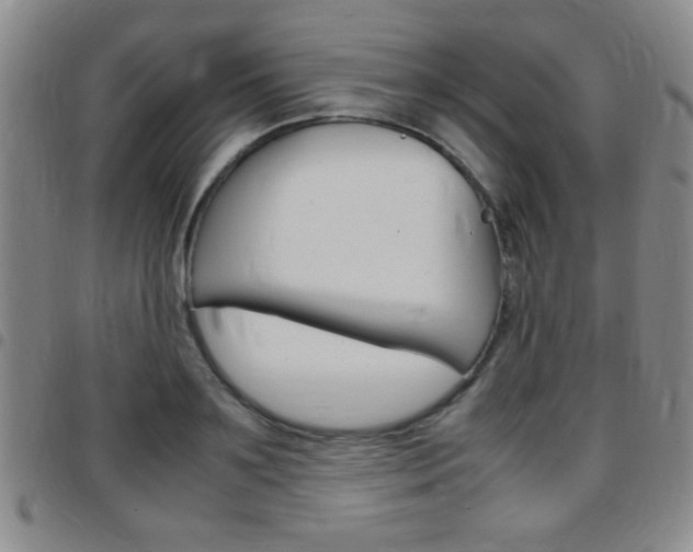 X0000097820891200803140803