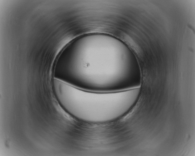 X0000097820892200803140803