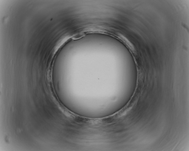 X0000097820893200803140803