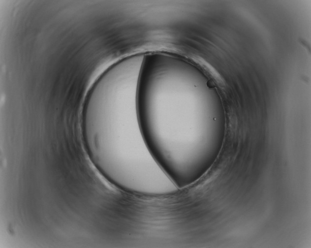 X0000097820894200803140803