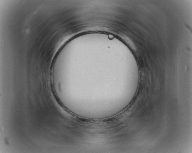 X0000097820895200803140803