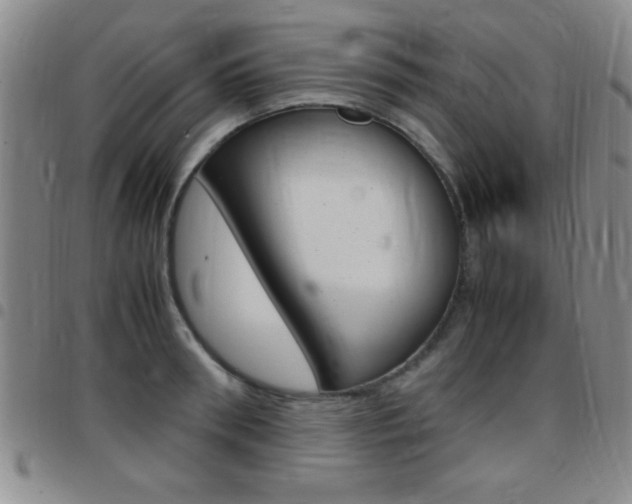X0000097820898200803140803