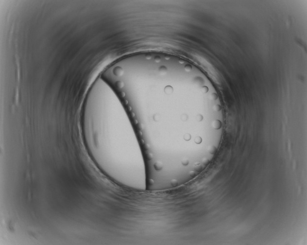 X0000097820899200803140803