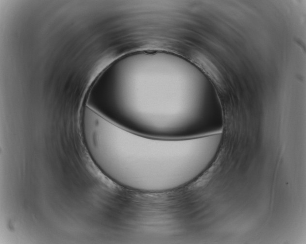 X0000097820900200803140803