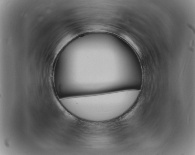 X0000097820901200803140803
