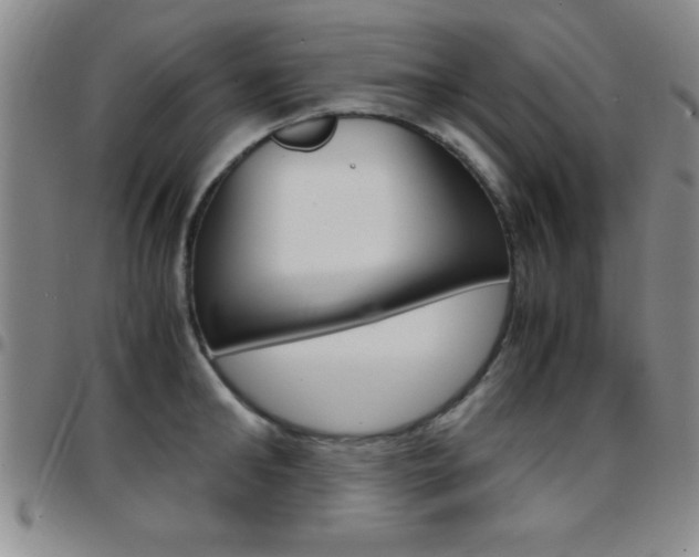 X0000097820902200803140803