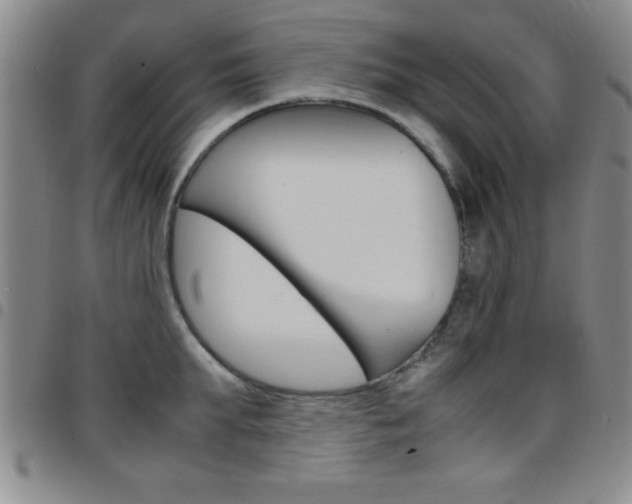 X0000097820903200803140803