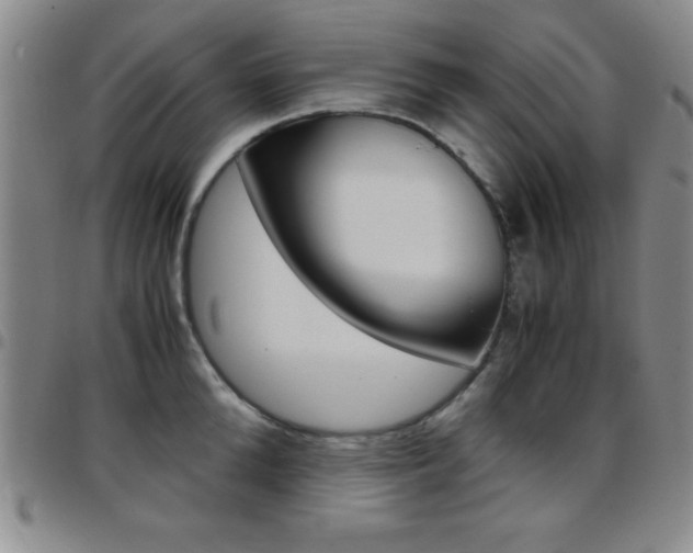 X0000097820904200803140803