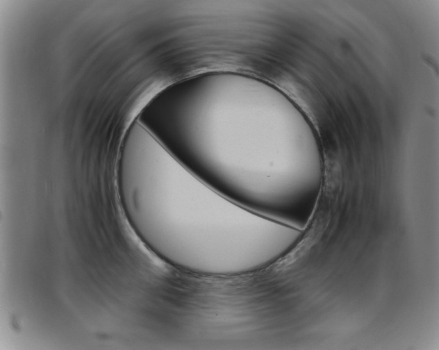 X0000097820906200803140803