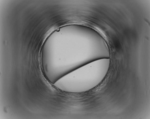 X0000097820907200803140803