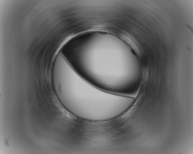 X0000097820908200803140803