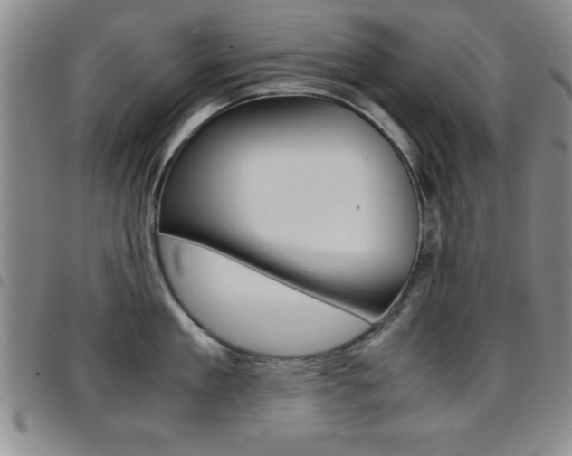 X0000097820909200803140803