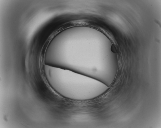 X0000097820911200803140803