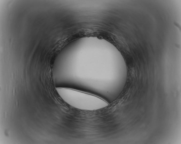 X0000097820914200803140802