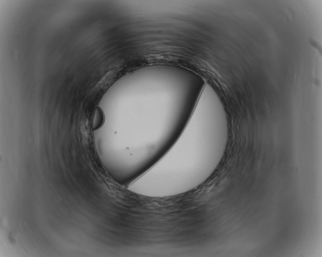 X0000097820915200803140802