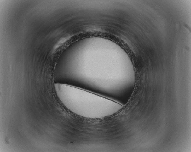 X0000097820919200803140802