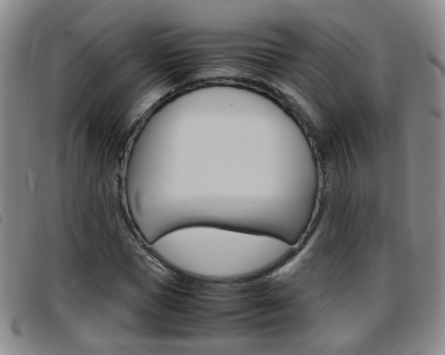 X0000097820921200803140802
