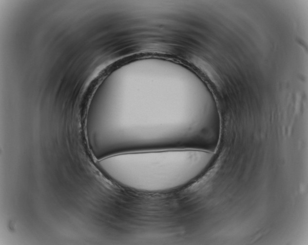 X0000097820923200803140802