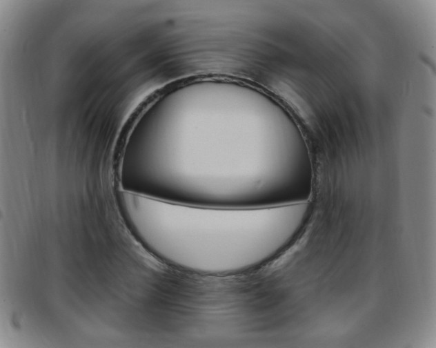 X0000097820924200803140802