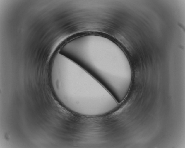 X0000097820926200803140802