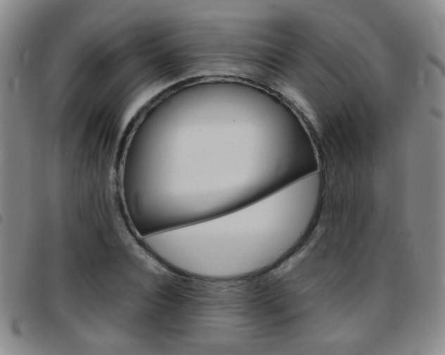 X0000097820928200803140802