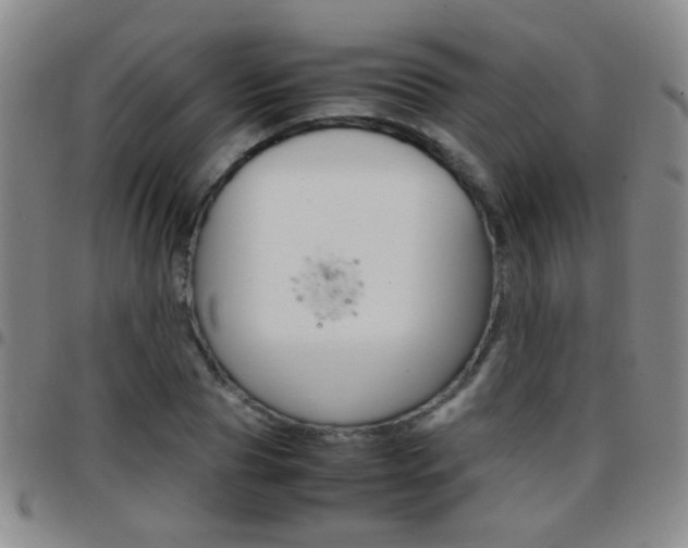 X0000097820929200803140802