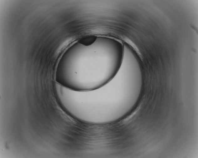 X0000097820930200803140802