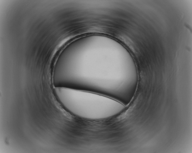 X0000097820931200803140803