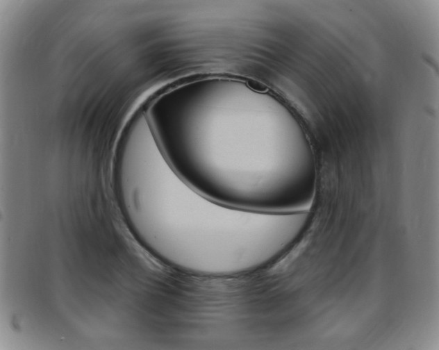 X0000097820932200803140803