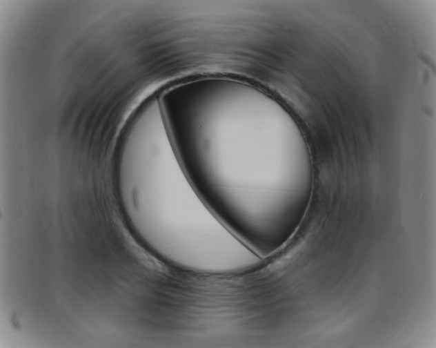 X0000097820934200803140803