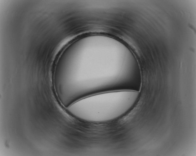 X0000097820935200803140803