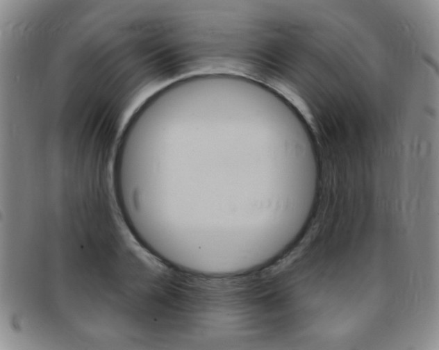X0000097820936200803140803