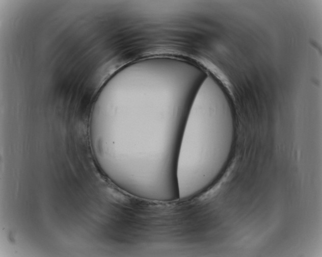 X0000097820937200803140803