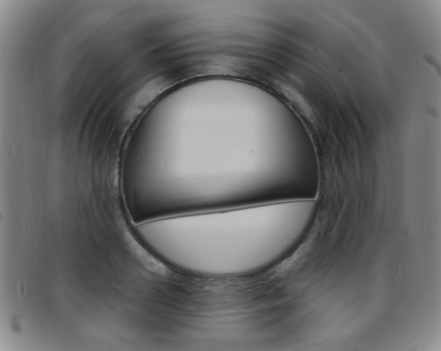 X0000097820938200803140803