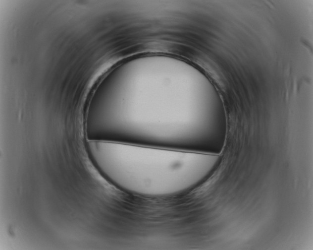 X0000097820939200803140803