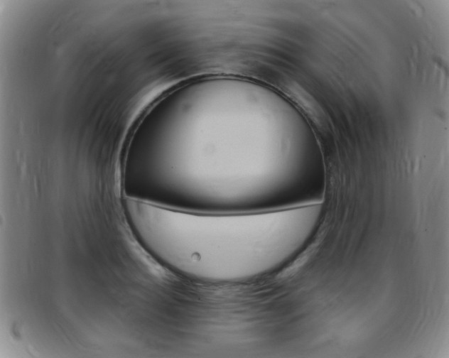 X0000097820940200803140803