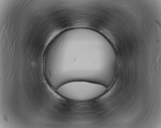 X0000097820941200803140803