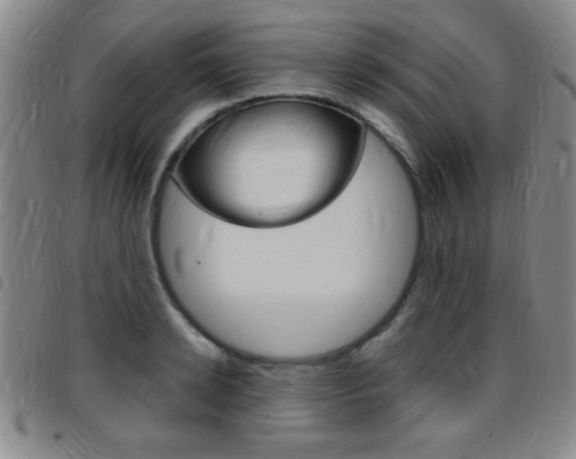 X0000097820942200803140803