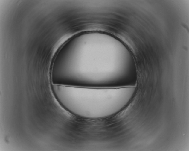 X0000097820943200803140803
